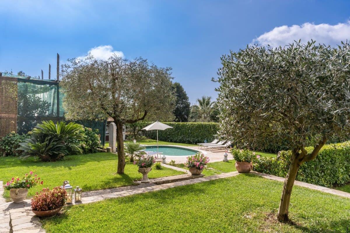 Villa Mimosa Rustic Elegance Views & Pool 마사루브렌세 외부 사진